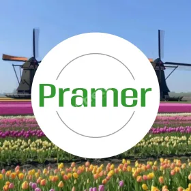 Operator żurawia (Rotterdam) - praca w Holandii