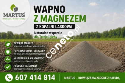 Wapno węglanowe z magnezem z Kopalni Laskowa