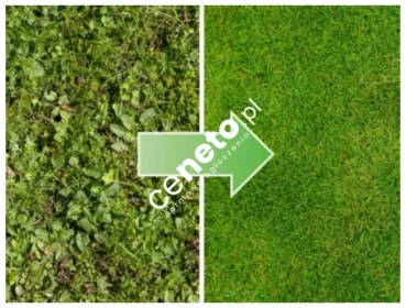 NAWÓZ ANTYMECH 10kg ANTY MECH Z SIARCZAN ŻELAZA LIKWIDUJE W TRAWIE