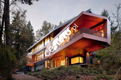 Dom projekt WK1 Vintage las jezioro