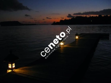 Dom projekt WK1 Vintage las jezioro