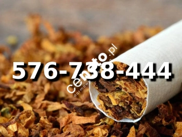 SUPER Jakości Tani TYTOŃ na wagę 120 PLN / 1KG