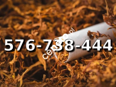 Super Jakości Tani TYTOŃ 1150 PLN / 1KG