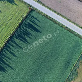 Kreda nawozowa Granucal Omya dostępna luzem.