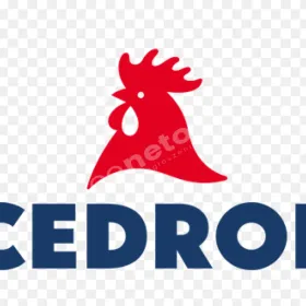 Mechanik - Elektromechanik Zakład Drobiarski w Kutnie