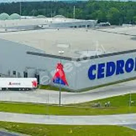 Specjalista ds. Zarządzania Produkcją Ujazdówek