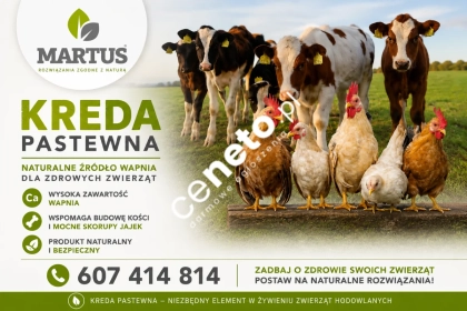 Kreda Pastewna luzem