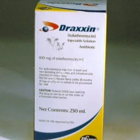  Weterynarium - pomocna dłoń dla wszystkich zwierząt 