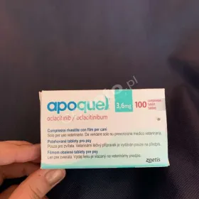  Weterynarium - pomocna dłoń dla wszystkich zwierząt 