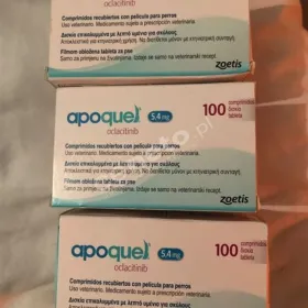  Weterynarium - pomocna dłoń dla wszystkich zwierząt 