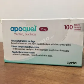  Weterynarium - pomocna dłoń dla wszystkich zwierząt 